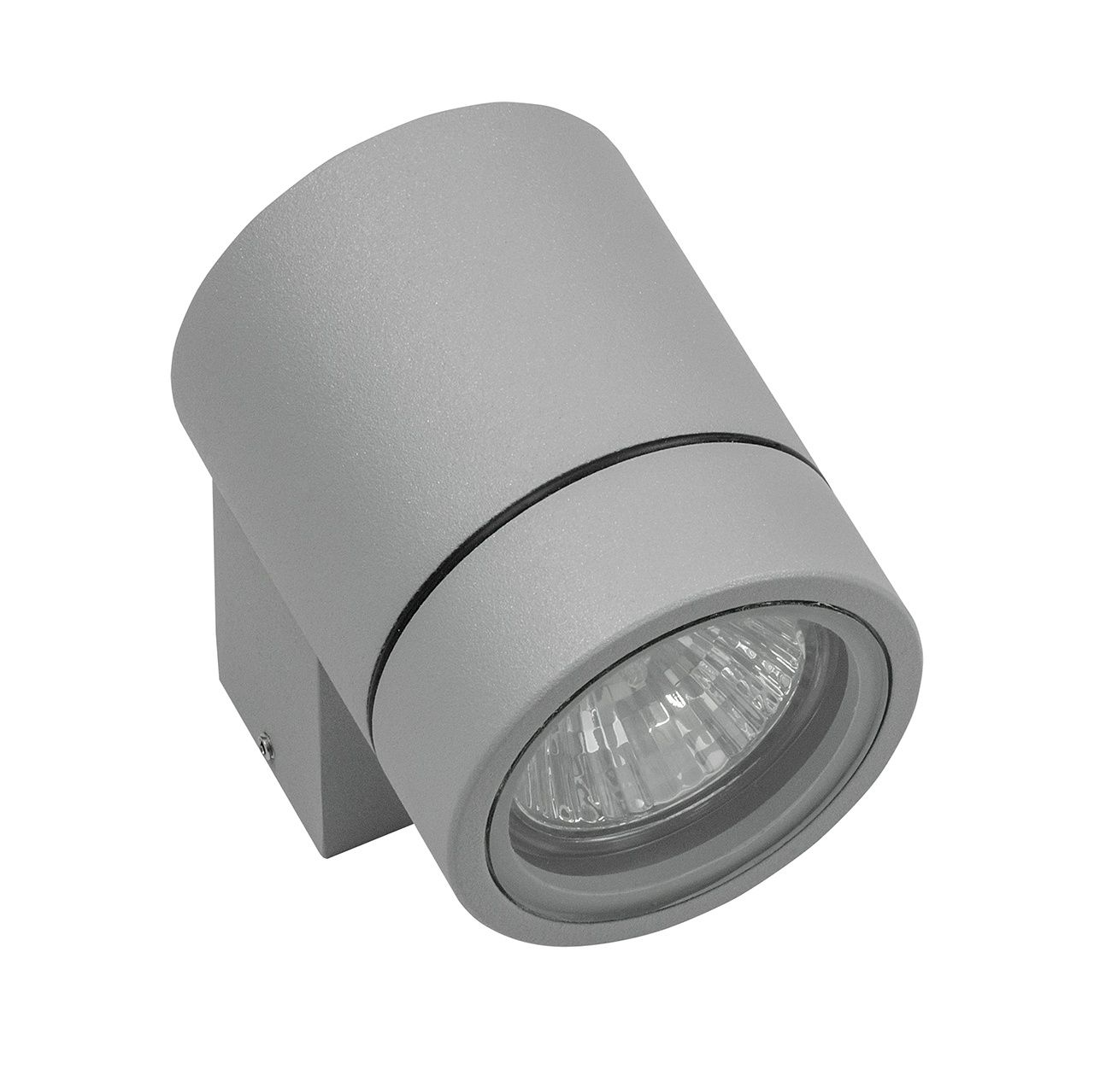 Уличный настенный светильник Lightstar Paro 350609, серый