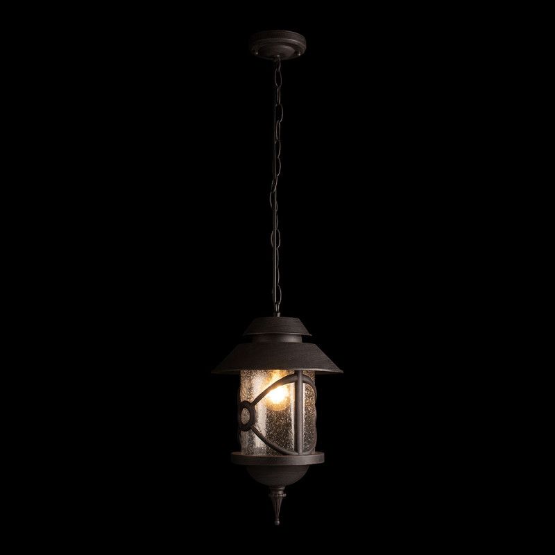 Подвесной уличный светильник *22*50,4-101,4 см, 1*E27*100W, LOFT IT Prato 100021P, черный