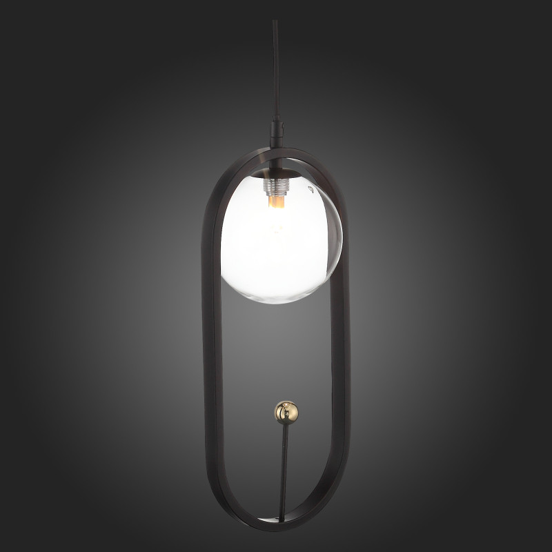Подвес 17*13 см, ST LUCE CIRCONO SL1201.403.01 Черный