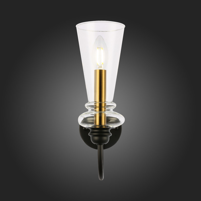 Светильник настенный 10 см, 40W,  EVOLUCE  RAMMO SLE112401-01  Черный