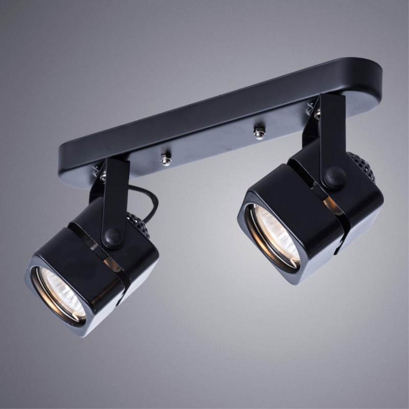 Светильник Arte Lamp MISAM A1315PL-2BK черный