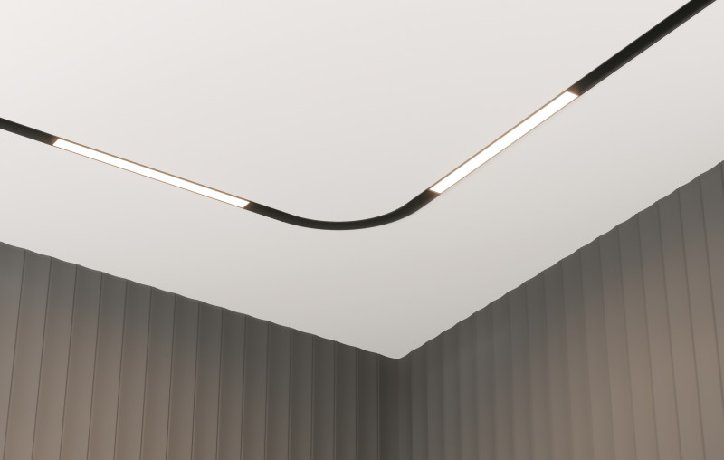 Светильник 30 см, 12W, 3000K-6000K Maytoni Technical BASIS Exility LED TR030-4-12W3K-WW-DS-B черный, 120°, Dim Exility