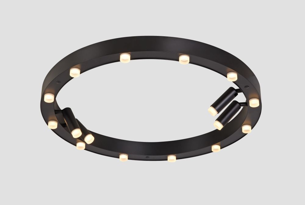 Светильник потолочный ElegantLight DZN-9134 BLACK D650/H100/12+4/LED/48W/3000K 22-10 VISION