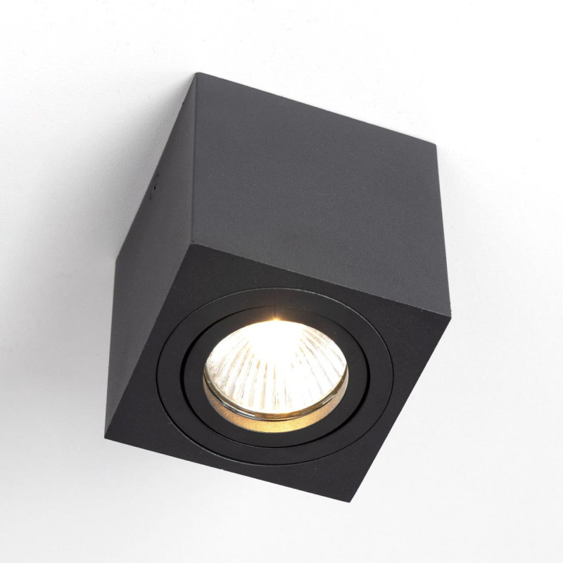 Светильник Черный Citilux Дюрен CL538213