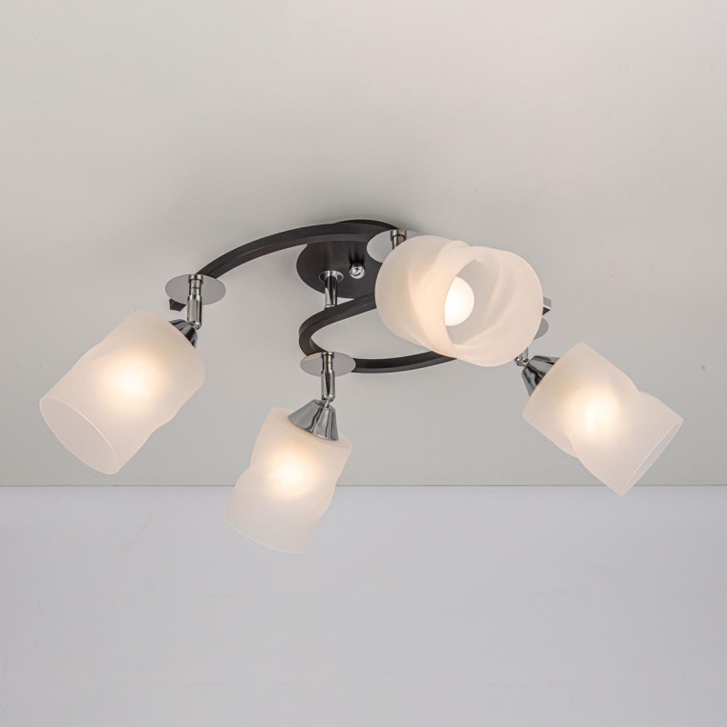 Люстра Citilux Сиерра CL119241 черный