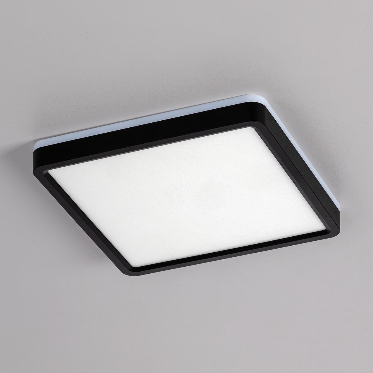 Светильник с подсветкой 20 см, 23W, 3000-5500K, Citilux NORMA CL748K201 LED, черный