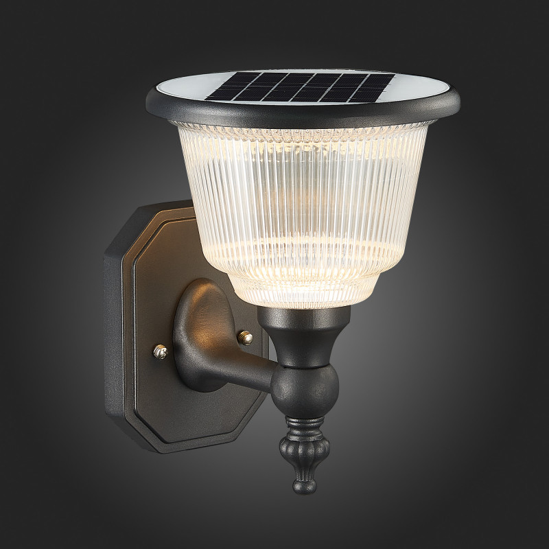 Светильник уличный настенный 22 см, 2W 3000-6000K ST LUCE SOLARIS SL9502.401.01 Черный