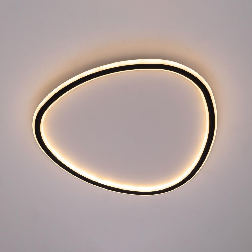 Светильник 52 см, 72W, 3000-5500K, Citilux ТRIO CL215B251E LED RGB, черный