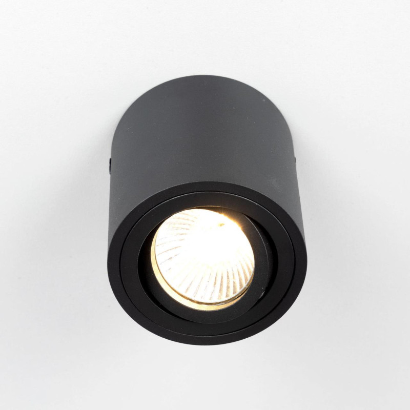 Светильник Черный Citilux Дюрен CL538113