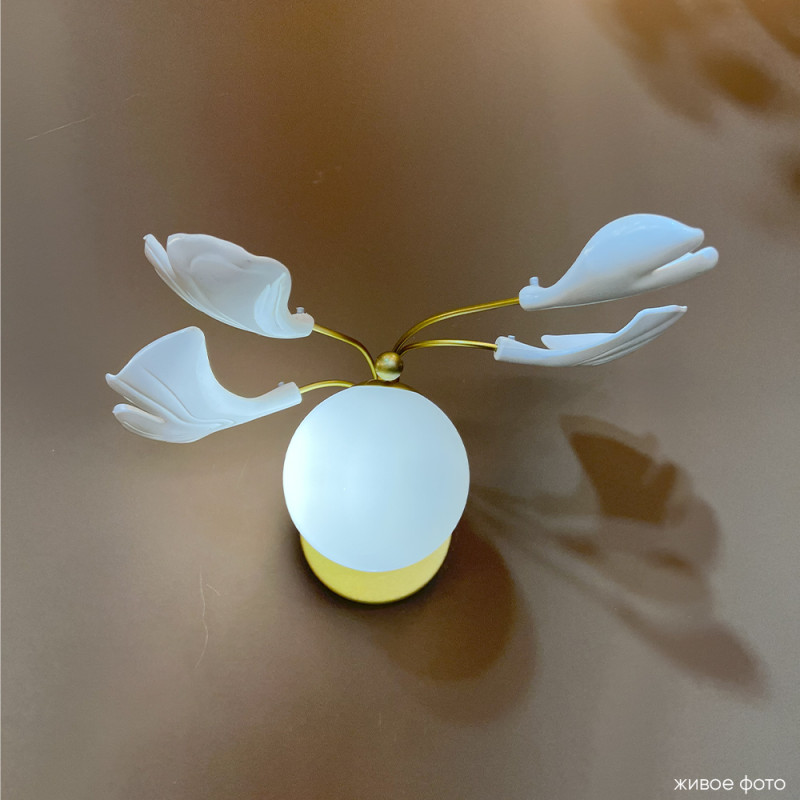 Бра 24 см, Crystal Lux COLIBRI AP1 GOLD, золото