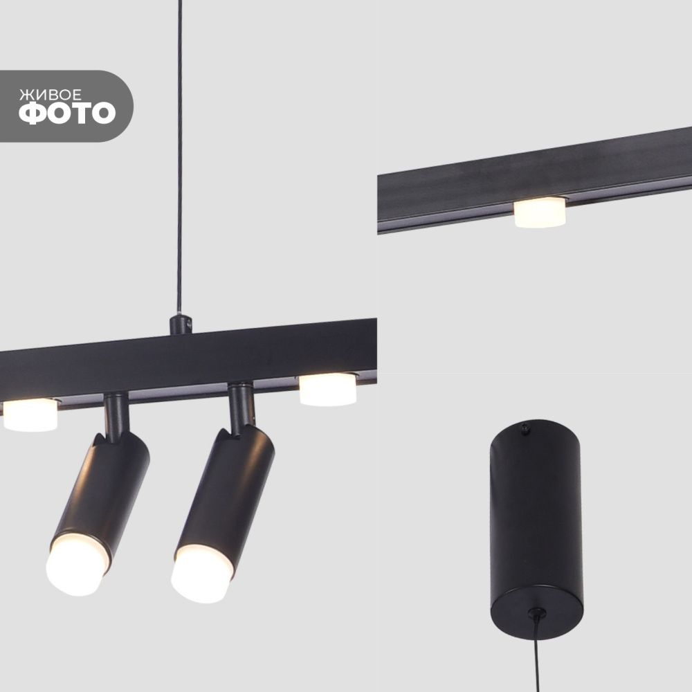 Светильник подвесной ElegantLight DZN-8228 BLACK D120/H120/8+2/LED/30W/3000K 23-12 VISION