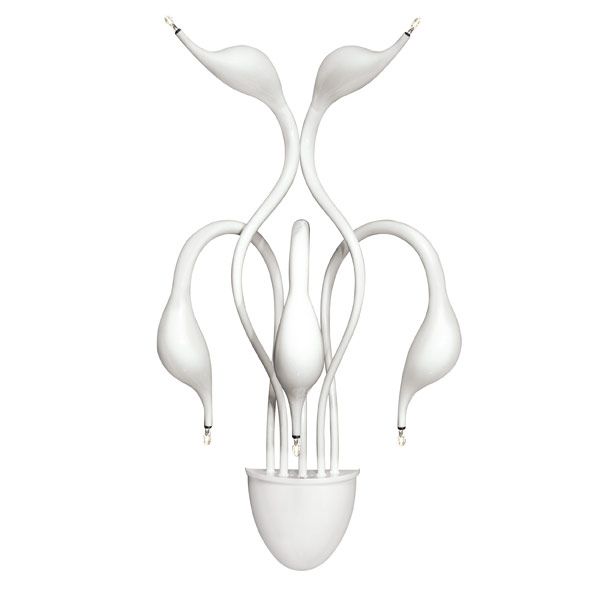Бра настенное Cigno Collo Lightstar 751656