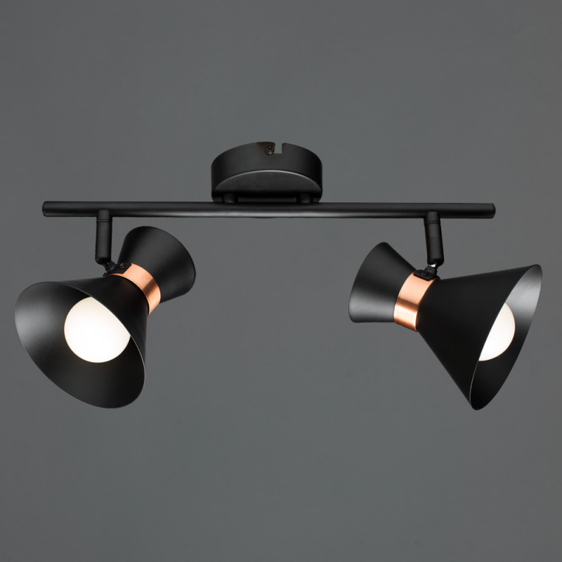 Спот Arte Lamp Baltimore A1406AP-2BK, черный/золотой