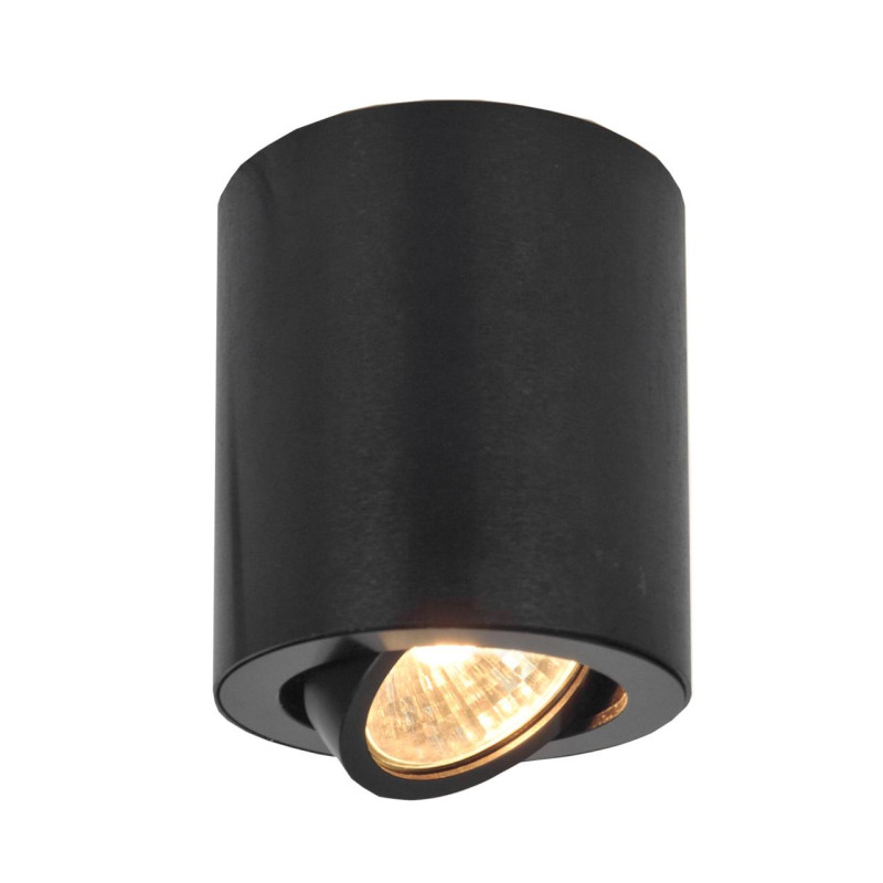 Светильник Черный Citilux Дюрен CL538113
