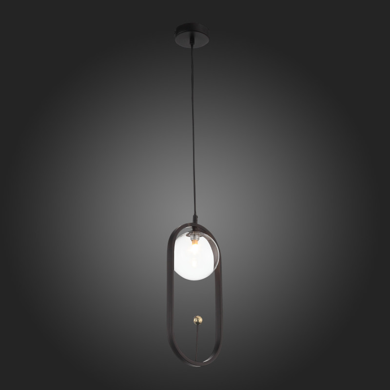 Подвес 17*13 см, ST LUCE CIRCONO SL1201.403.01 Черный