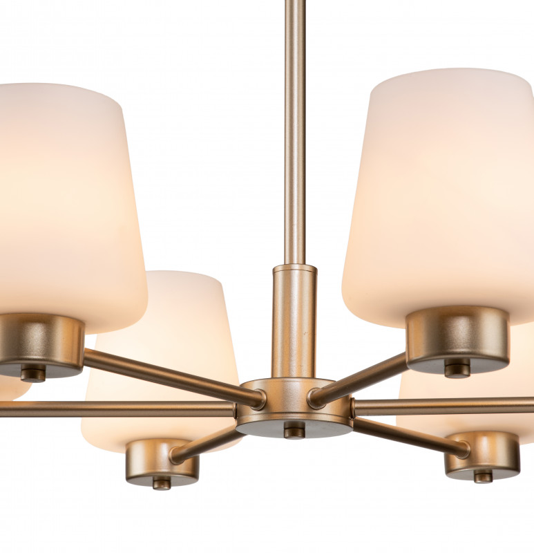 Подвесной светильник 635*635*455/1255 мм, 6*E27 золото Indigo Tulip V000001, 13004/6P Gold