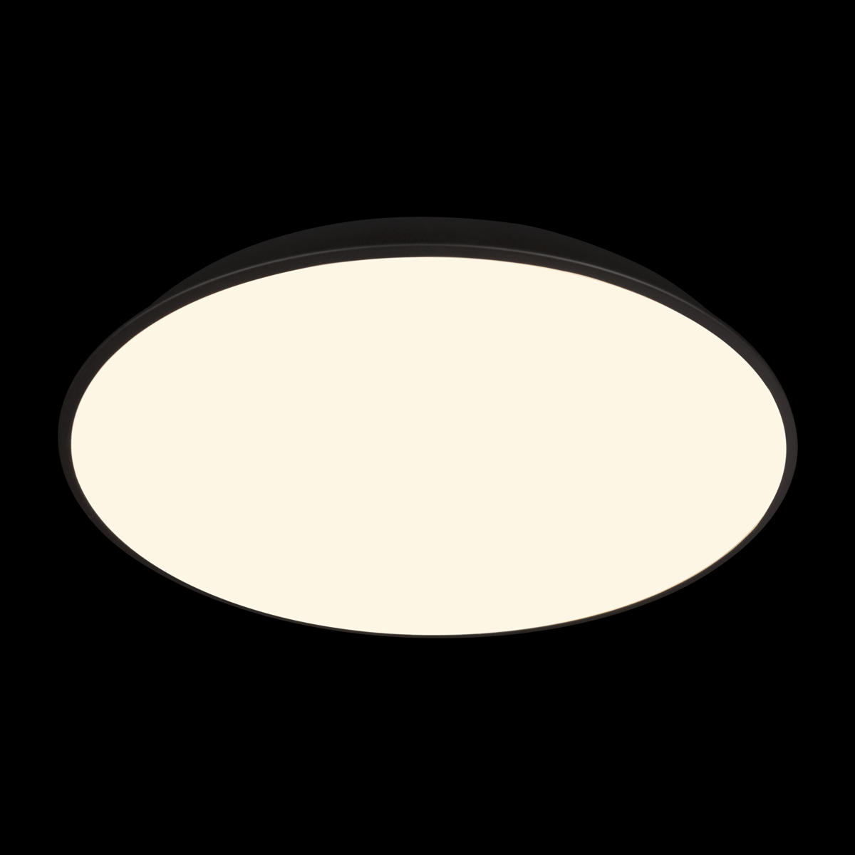 Потолочный светильник 50*5 см, 1*LED*36W 4000K черный LOFT IT Brim 10226 Black
