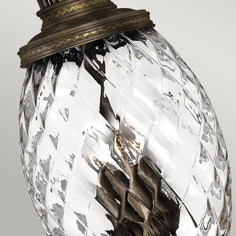 Подвесной светильник Hinkely Lighting, Арт. HK-PLANT4-P-PZ