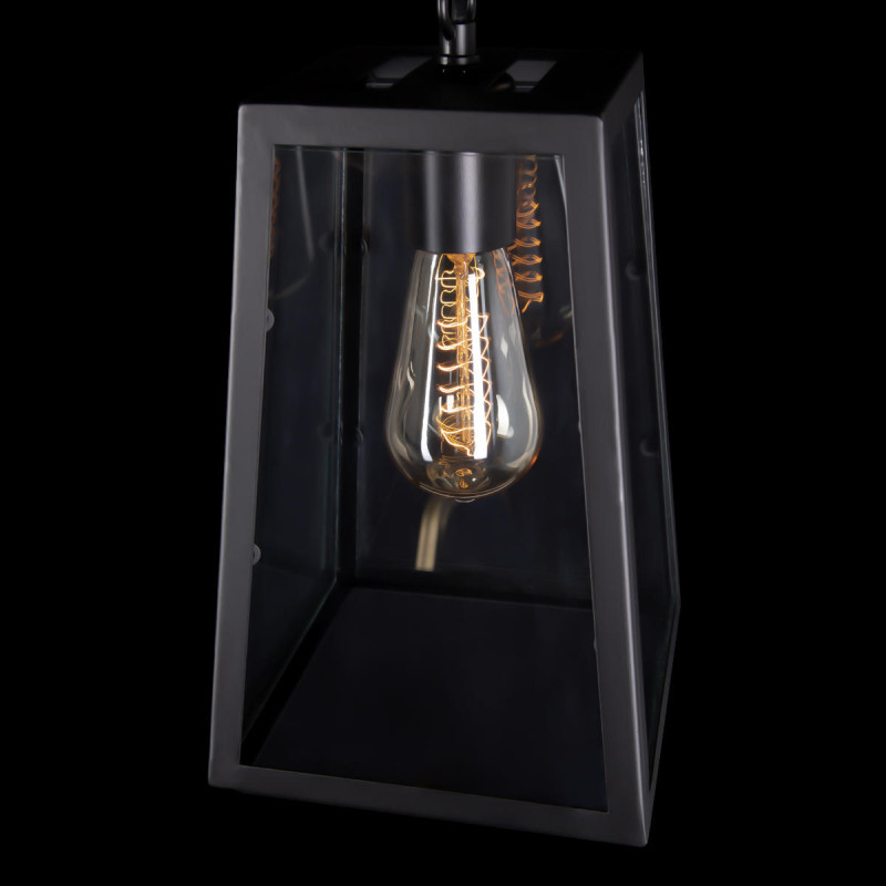 Подвесной светильник 17,5*17,5*31 см, 1*E27*60W, Loft It Modern Filament LOFT1127, Черный