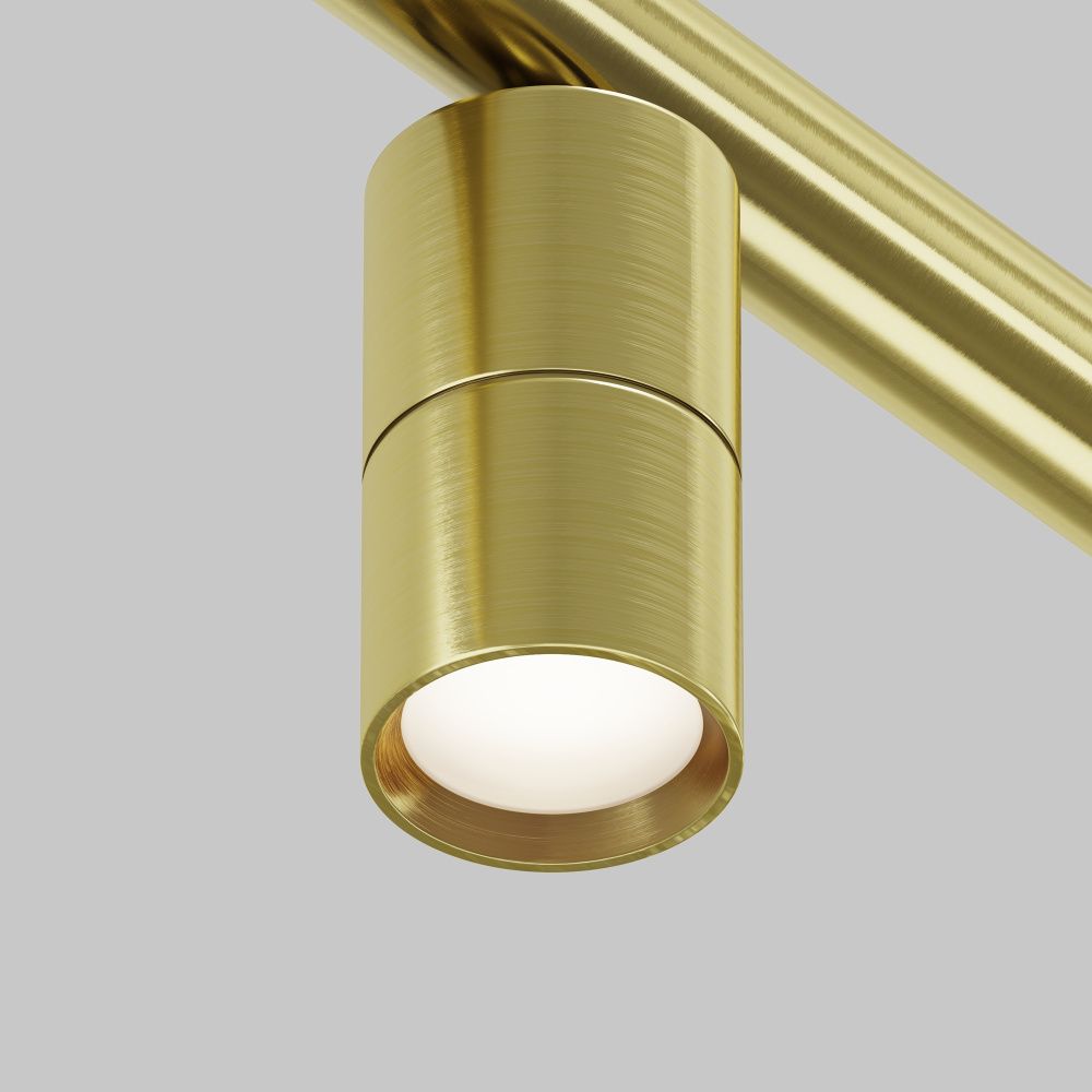 Светильник Focus Led для штанговой системы освещения Axity 3000-6000К 5Вт 36°, 20*3-8 см, LED*5W, Maytoni C103CL-5W3-6K-BS, Латунь