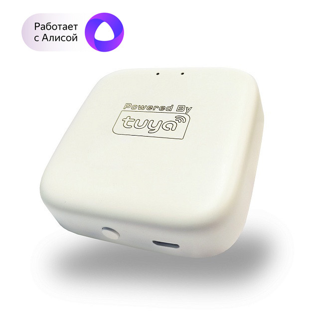 WI-FI конвертер Denkirs DK7400-WF белый