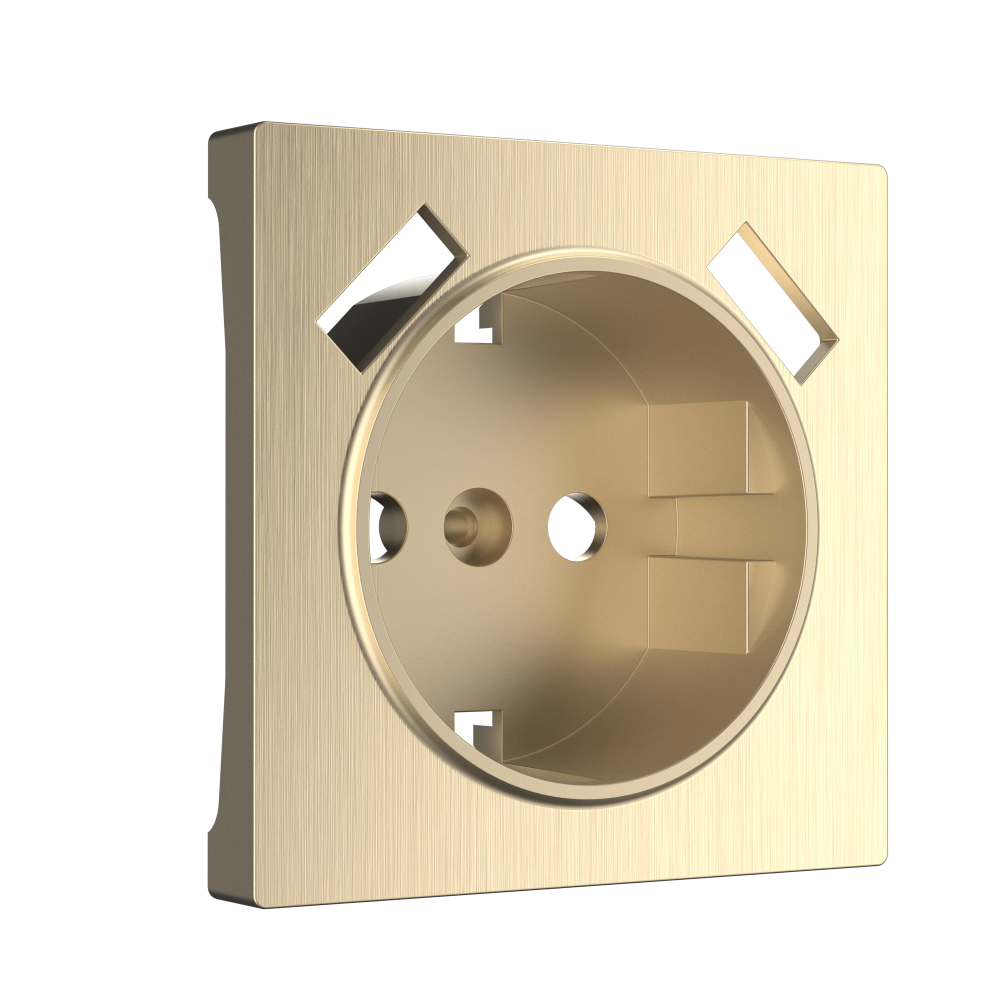 Накладка  для розетки USB (шампань рифленый) W1179510 Werkel 4690389160592