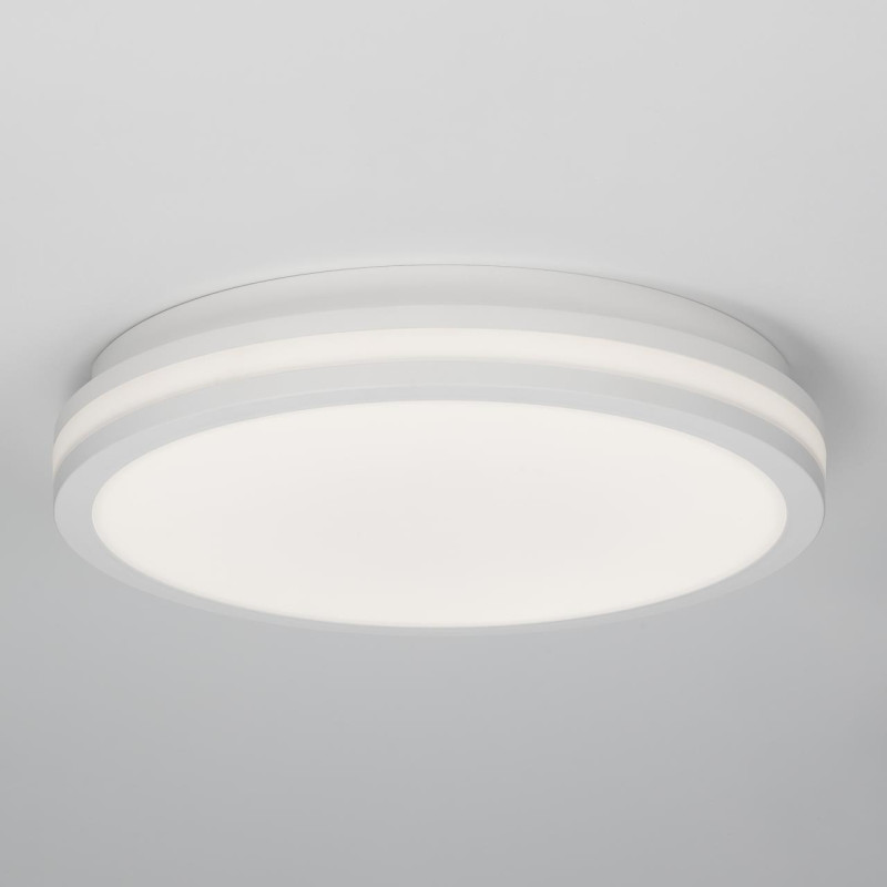 Светильник 29 см, 24W, 3000-4000-6500K Citilux CL711020V LUNS 24W IP64