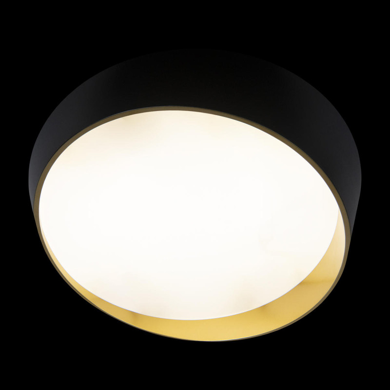 Светильник 50 см, 36W, 4000K Loft It (Light for You) Coin 10199 Black, черный
