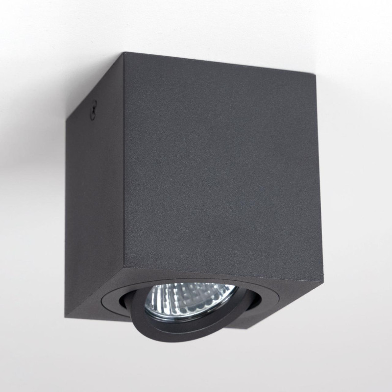 Светильник Черный Citilux Дюрен CL538213