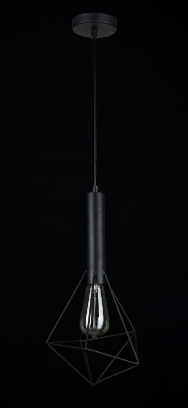 Подвес Maytoni T021-01-B, черный