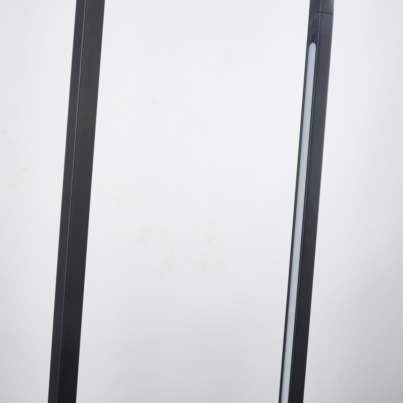 Подвес Favourite Castled 4009-2P, L300*W20*H890/1890, каркас черного цвета вытянутой овальной формы, на двух сторонах расположены LED-ленты