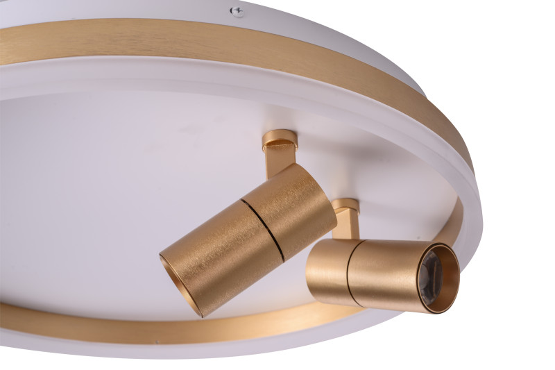 Накладной светильник 50*7 см, LED, 40W, 4000K Zortes Raizy ZRS.1888.02, белый