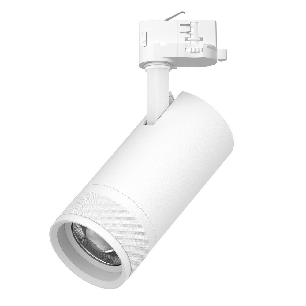 Светильник QUATTRO с адаптером *8*17,6 см, *30W, 2700-4200-6000K, Lightstar Canno Pro C4306QT, Белый