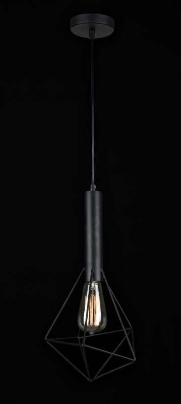 Подвес Maytoni T021-01-B, черный