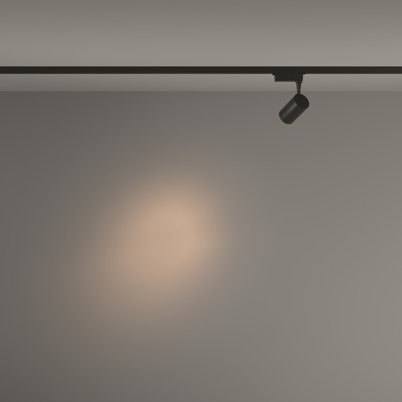 Светильник 6 см, 6W, 3000K, Maytoni Technical TR003-1-6W3K-S-B, черный