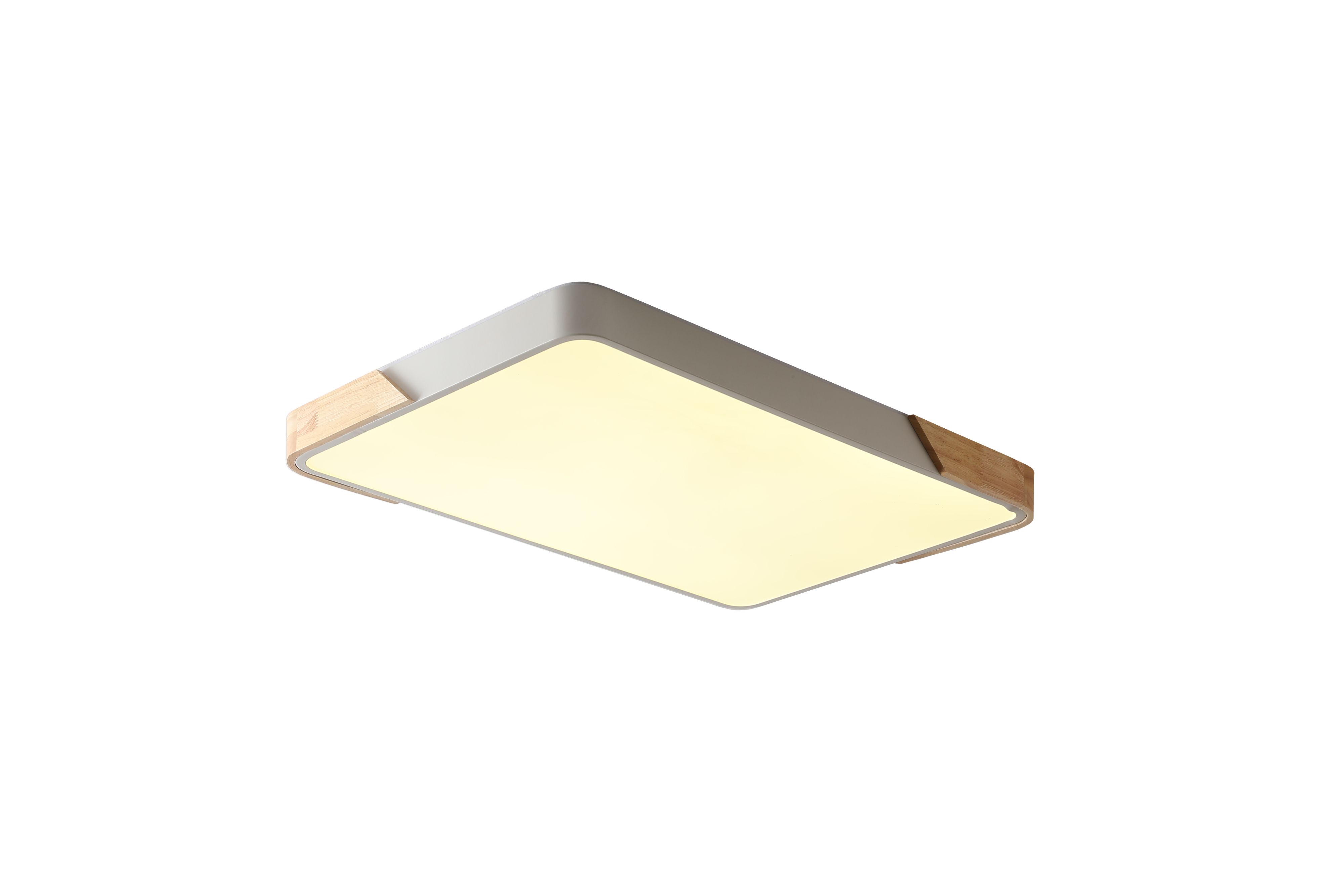 Светильник 65*42*5 см, LED 60W 4000K белый Zortes Alberro ZRS.01233.60