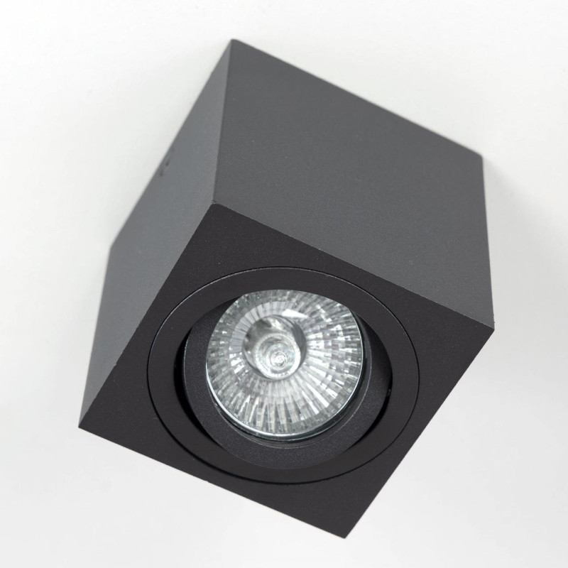 Светильник Черный Citilux Дюрен CL538213