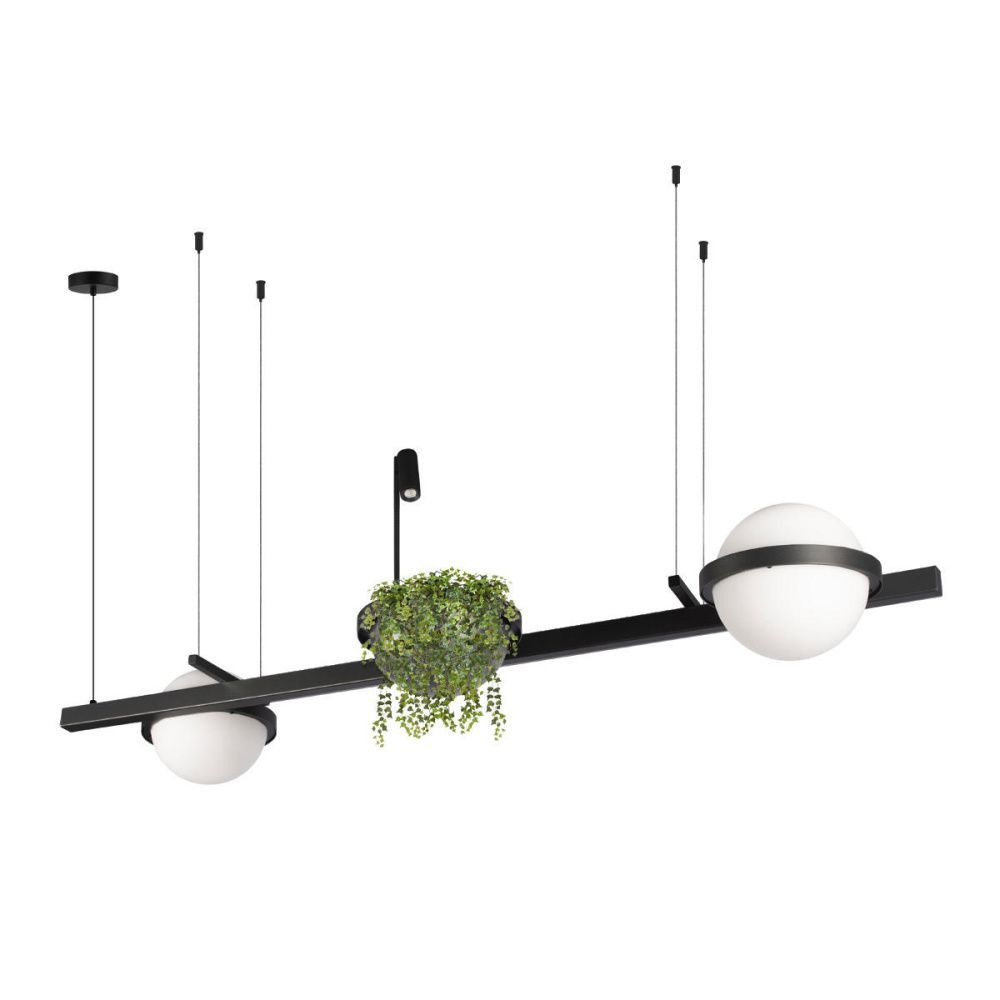 Подвесной светильник 150 см, 75W, 3000K, Loft IT Jardin 10121/D, черный