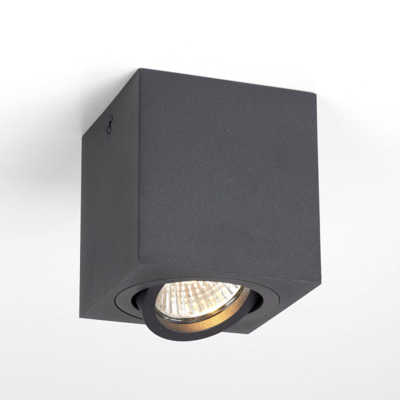 Светильник Черный Citilux Дюрен CL538213