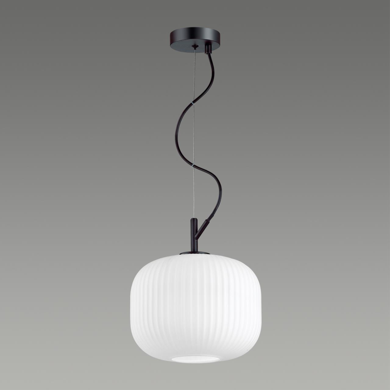 Светильник подвесной Roofi 4753/1 Odeon Light, диаметр 20 см, черный