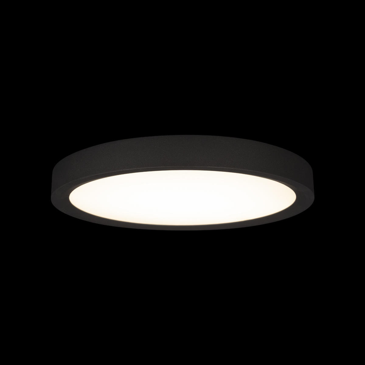 Потолочный светильник 30*3 см, 1*LED*24W 4000K черный LOFT IT Extraslim 10227/24 Black