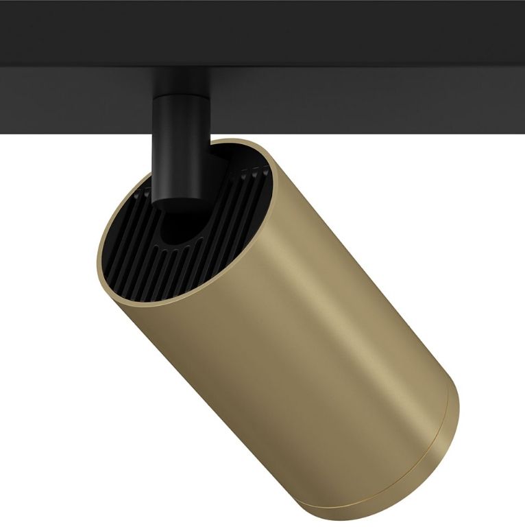Светильник потолочный FOCUS S C051CL-02BMG, черный-золото