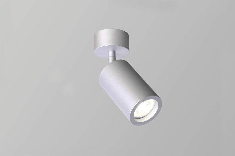 Потолочный светильник Favourite Angularis 2803-1U, D60*H175, накладной светильник, поворотный плафон, серебряный цвет каркаса