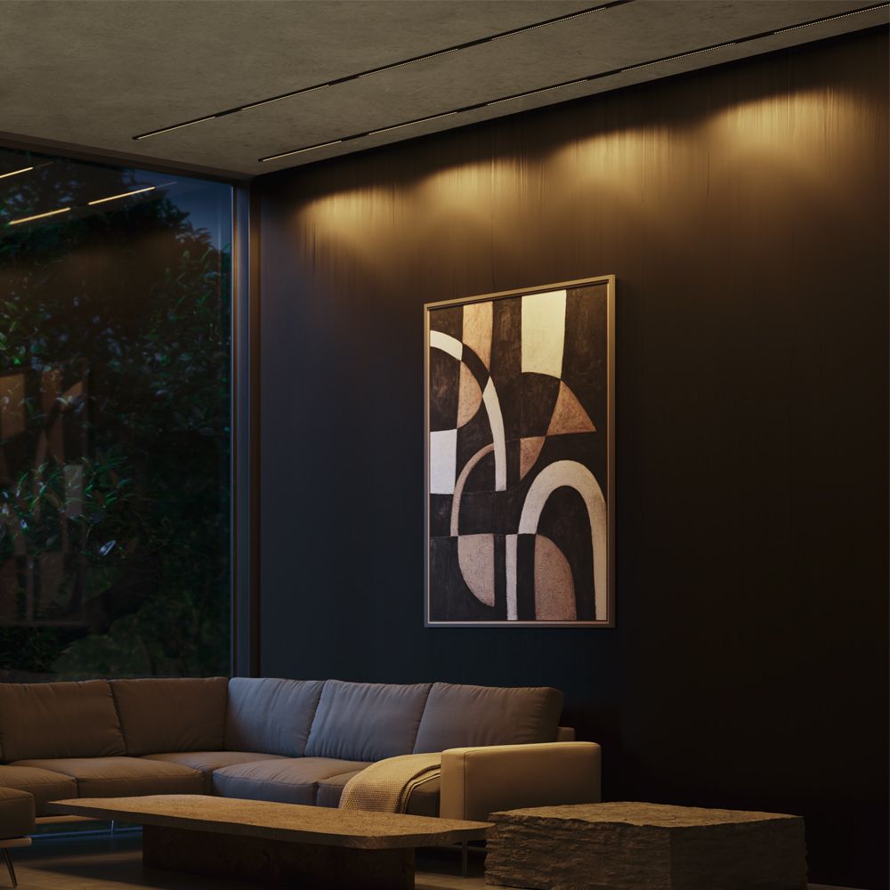 Трековый светильник Points Exility X 3000K 6Вт 40° 33*1*-1 см, *LED*6W, 540K, Maytoni Technical  TR241-2-6W3K-B, Черный