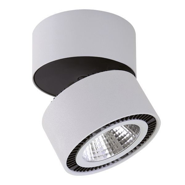 Накладной светильник Lightstar FORTE MURO 214839, серый, 12x13 см, 26W LED, 4000K, 1950Lm