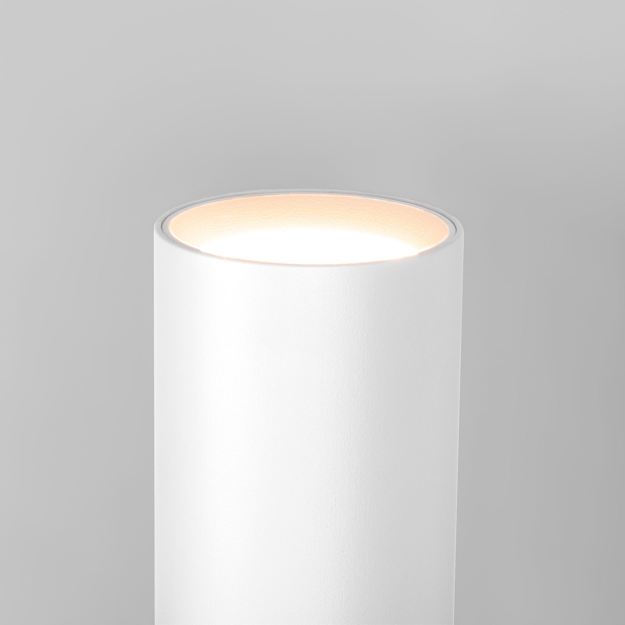 Светильник настенный светодиодный Langer IP44 40123/LED белый Elektrostandard