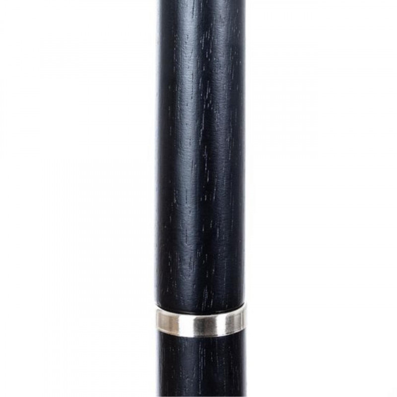 Торшер Arte lamp Robert Матовое серебро A5029PN-1SS