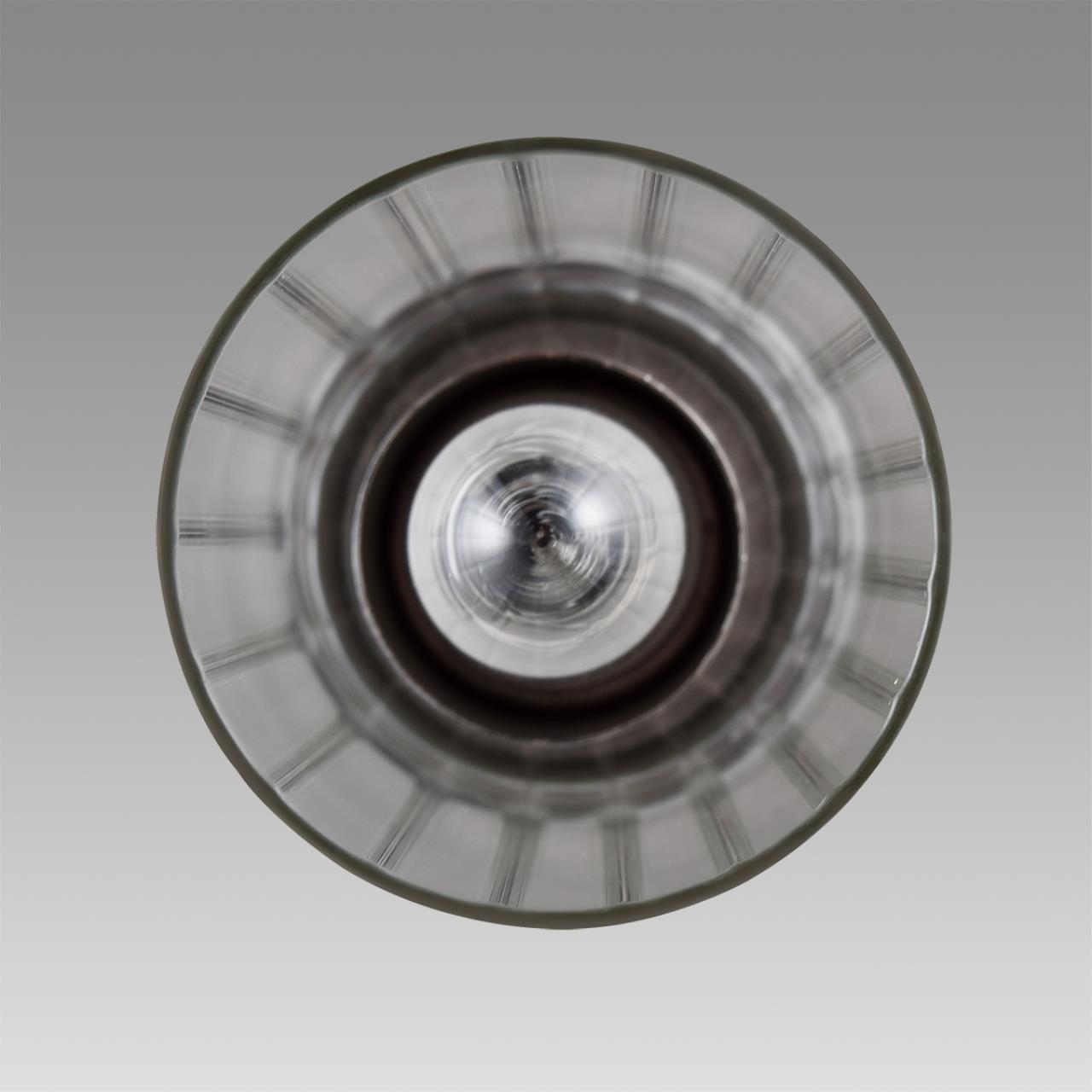 Подвесной светильник 10*80 см, 1*E14 Lumion ISHA 8102/1A хром, прозрачный