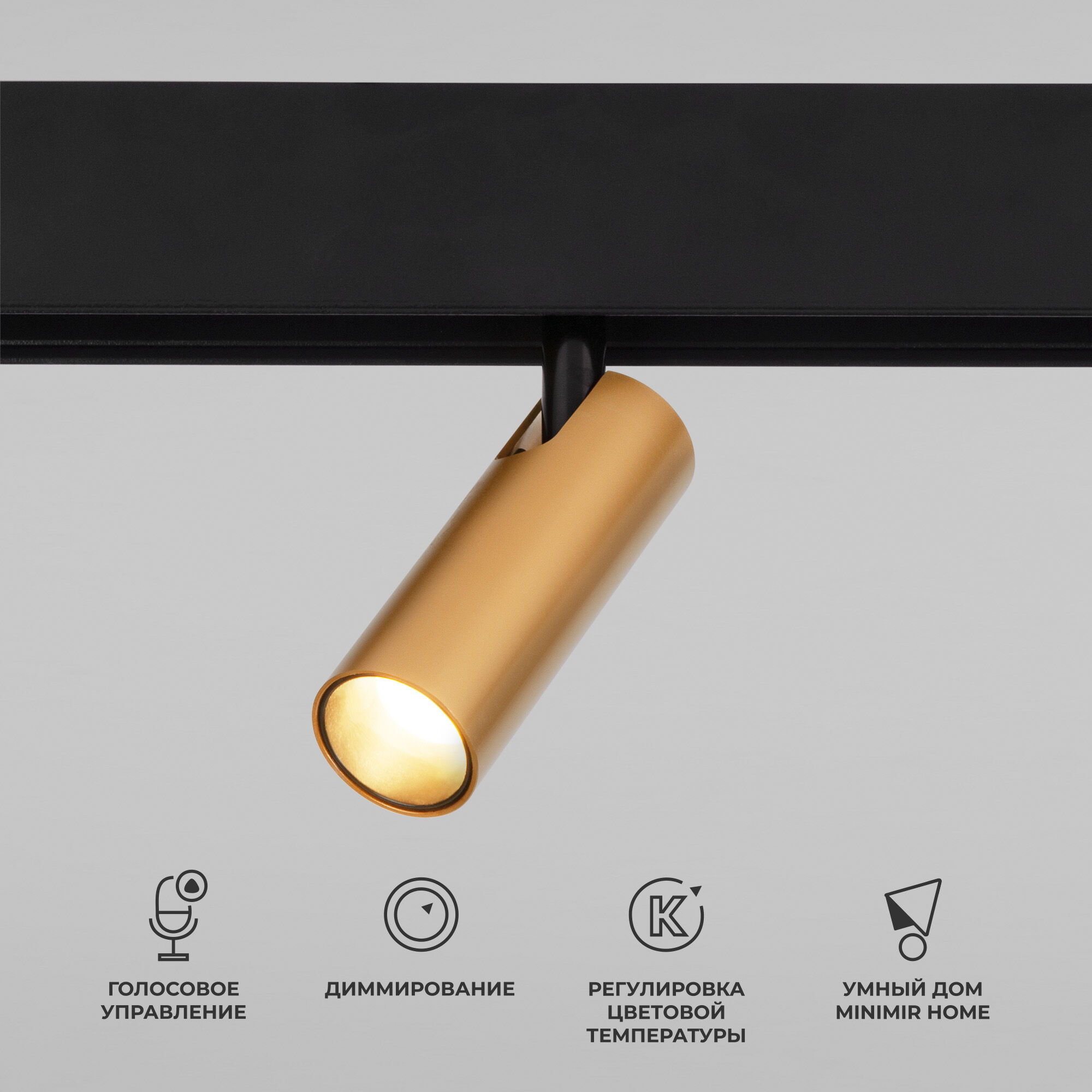 Трековый светильник LED 7W, 2700~6500 К, 15,8*19,2*3,5 см, латунь, Elektrostandard Slim Magnetic 85070/01