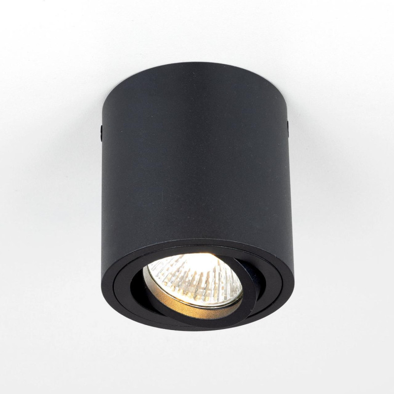 Светильник Черный Citilux Дюрен CL538113